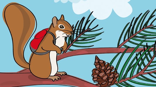 plantilla_recursos_990x300