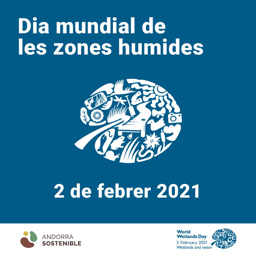 Dia Mundial Zones Humides1