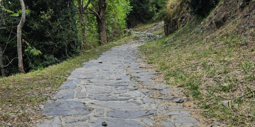 Captura de pantalla 2026-03-09 a les 17.35.14